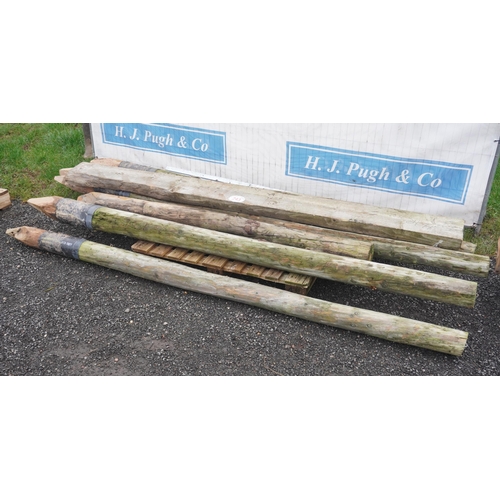 243 - Hop poles and board