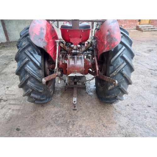 146 - Massey Ferguson 135 narrow tractor. Worked on local farm. Reg. JCJ 449E. V5