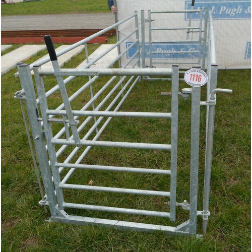 1116 - Galvanised sheep pen 10x3'