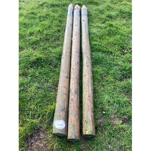 1484 - 3 10 ft fencing stakes