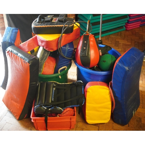 119 - Assorted boxing pads and gloves