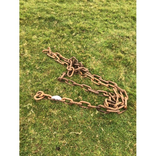 88 - Heavy chain