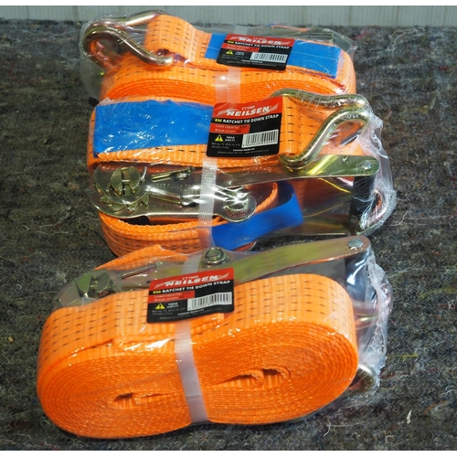 751 - 3- 8m Lorry straps