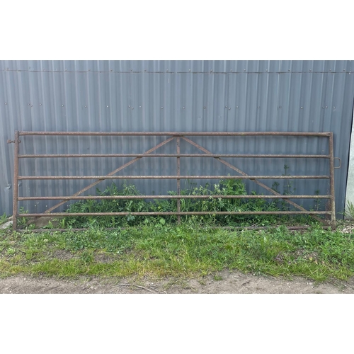 64 - Heavy gate 12ft -1 A/F