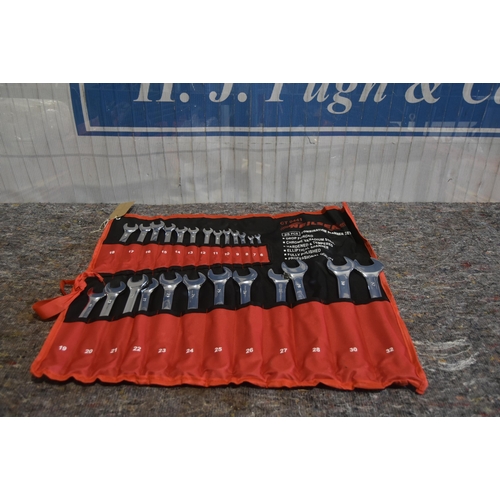 2567 - 25pc Spanner set