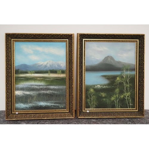 553 - 2- Framed oil on canvas paintings of the Lake District by F Shauns and Paul Klee