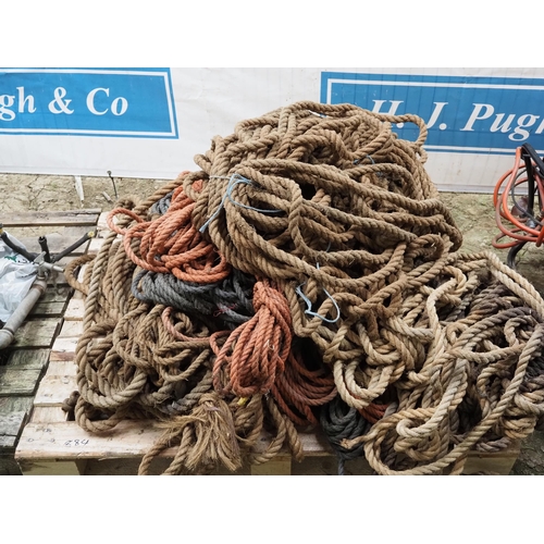 884 - Quantity of rope