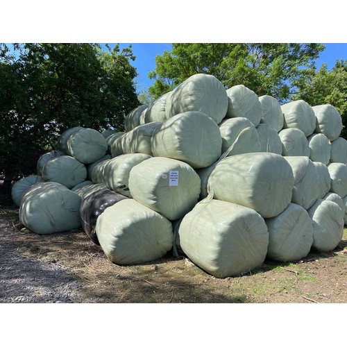 948 - Silage bales, baled last year. To be offered individually.  100 total.   NOT ONLINE BIDDING. PLEASE ... 