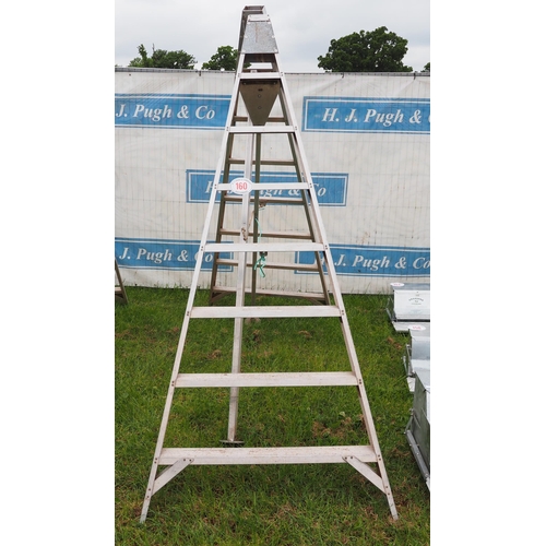 160 - Galvanized orchard ladder