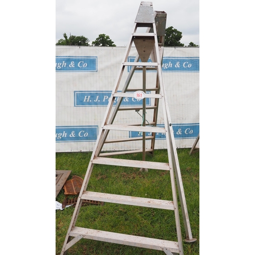 161 - Galvanized orchard ladder