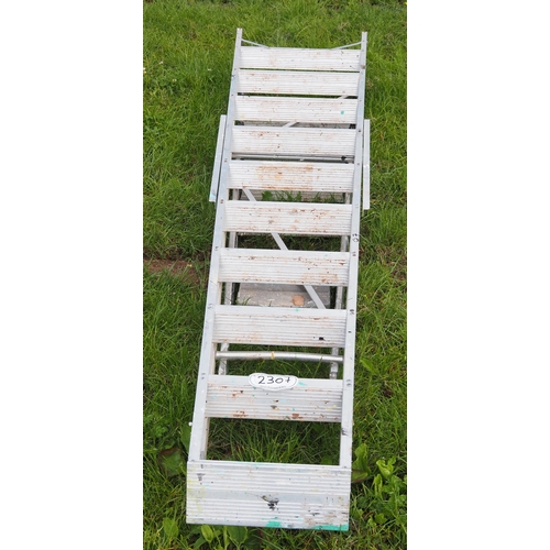 2307 - Step ladders