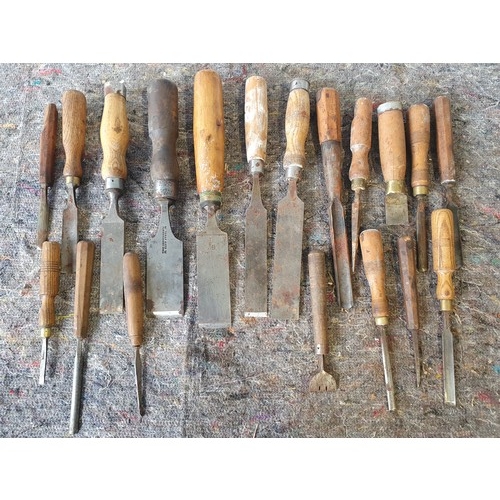 504 - Assorted chisels to include Marples and Ibbotson.