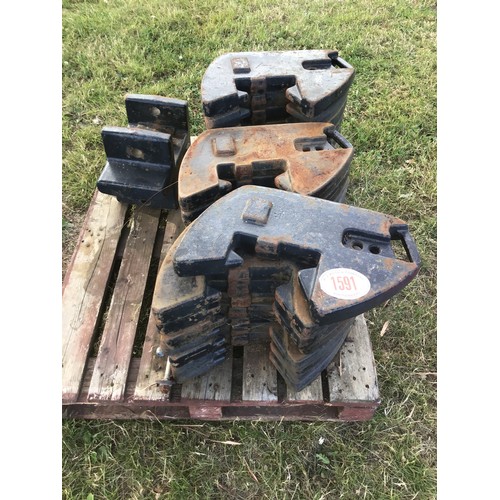 1591 - Case weights -23 and towing eye