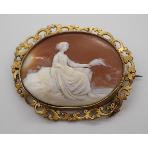 252 - Yellow metal cameo