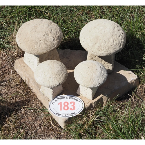 183 - 4- Stone mushrooms