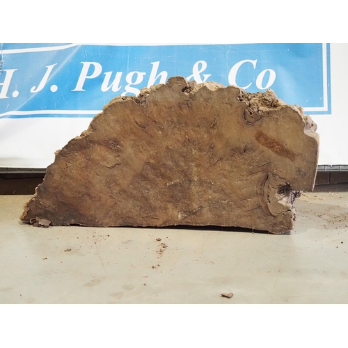 110 - Large elm burr