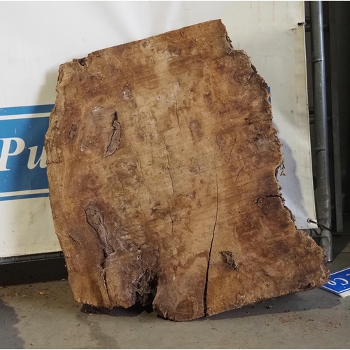 121 - Oak burr