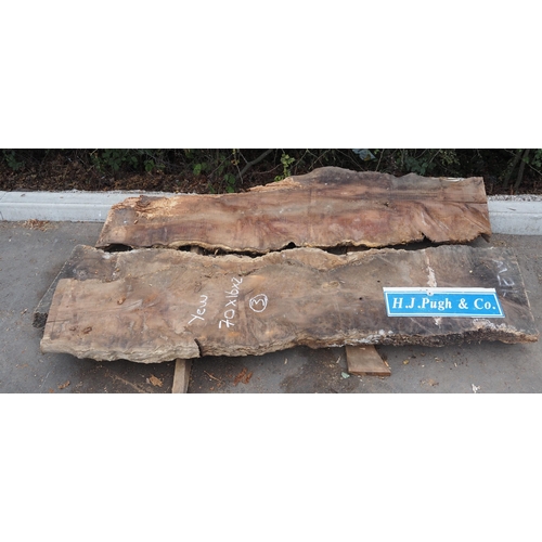 127 - Yew burr boards 70 x 16 x 2 - 2