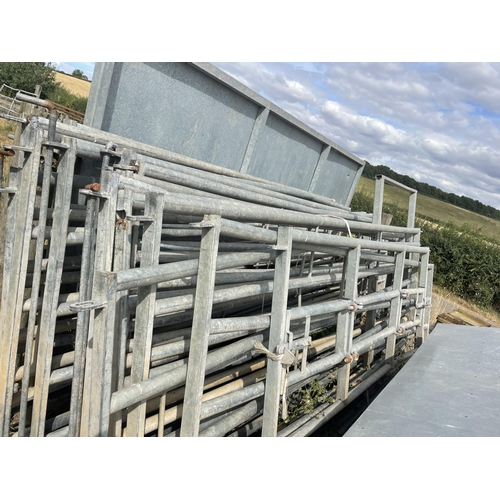 77 - Galvanised cattle handling system of 13 hurdles, drafting and pedestrian gate, yoke and stop gates