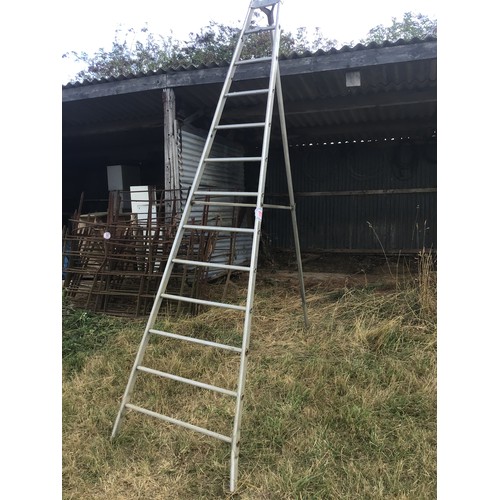 111 - Fruit picking ladder