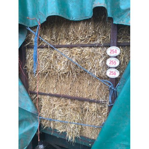 254 - Small bales of straw - approx 50