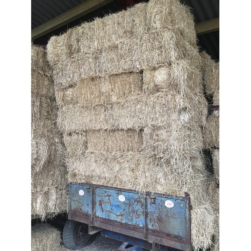 248 - Small bales of hay - approx 50