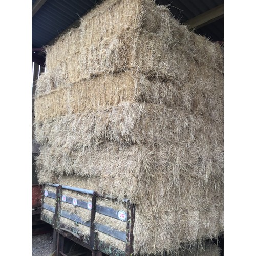 249 - Small bales of hay - approx 50