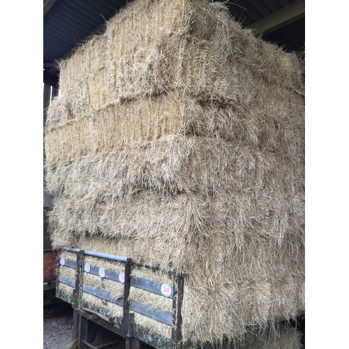 250 - Small bales of hay - approx 50