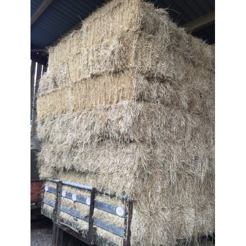 251 - Small bales of hay - approx 50