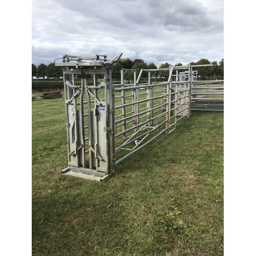 77 - Galvanised cattle handling system of 13 hurdles, drafting and pedestrian gate, yoke and stop gates