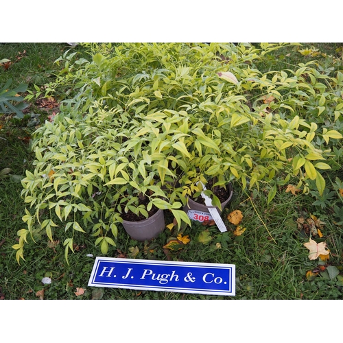 308 - Nandina - 5