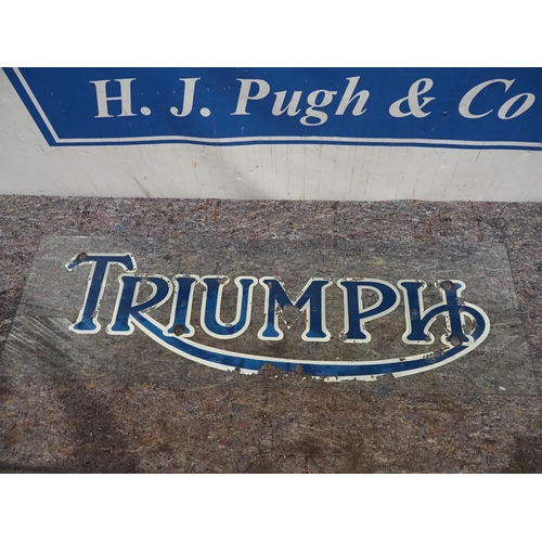 663 - Glass Triumph sign 15