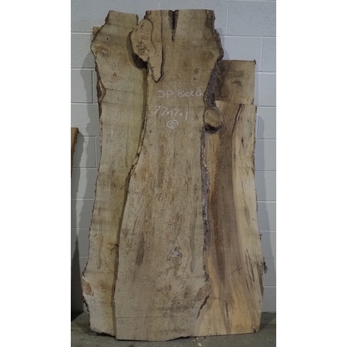 134 - Spalted Beech 77