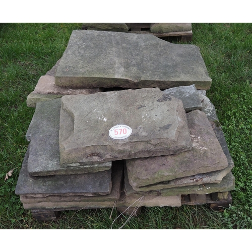 570 - Pallet of flagstones