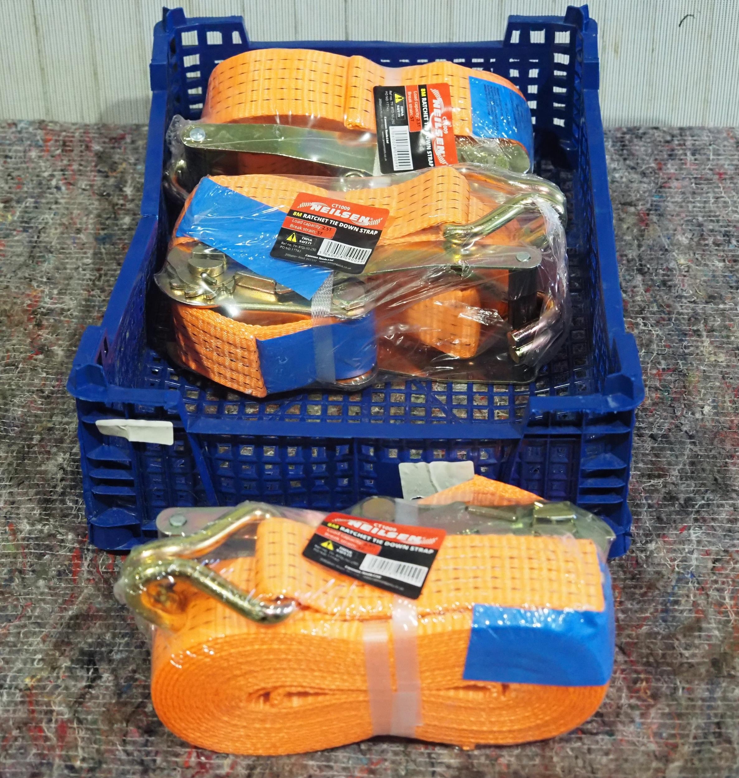3 - 8m 5 Tonne lorry straps