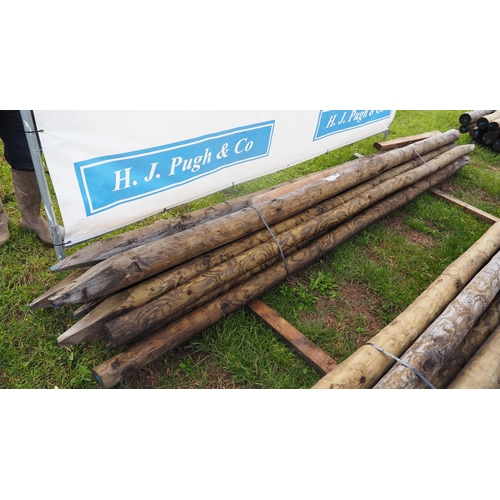 1151 - 12ft pointed poles- 10