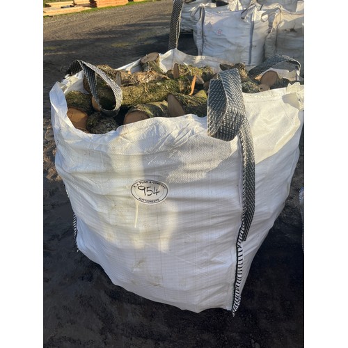 954 - Bag of Ash offcuts