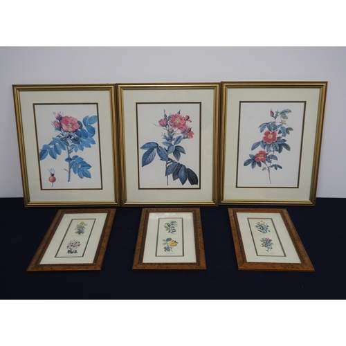 97 - 6 Framed floral prints, 3 small and 3 large