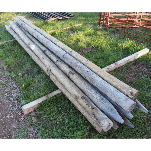 825 - 12ft Pointed poles - 10