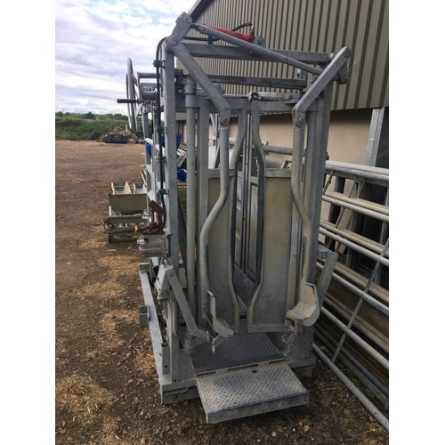 829 - Bateman Cattle handling system, recently carefully dismantled