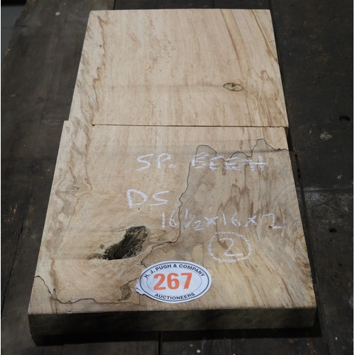 267 - Spalted Beech 16½x16x2