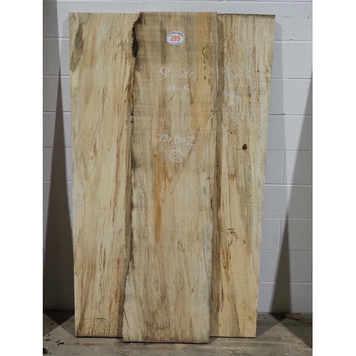 289 - Spalted Sycamore 78x18x2