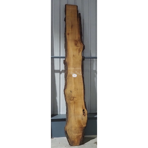 63 - Cedar 133x15x2½