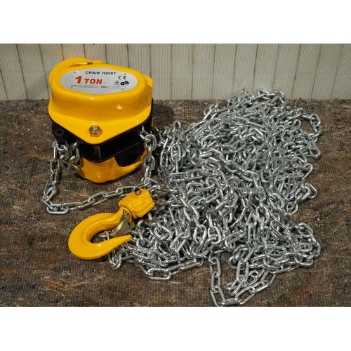 651 - Raptor 1 ton chain hoist, 6m