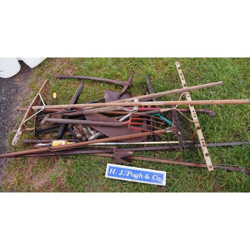 72 - Assorted garden tools