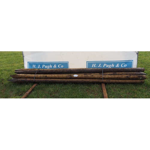 1190 - Pointed poles 12ft - 10