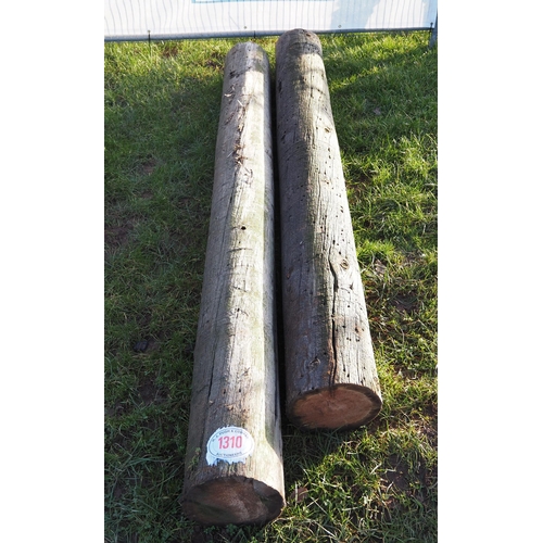 1310 - Wooden posts - 2