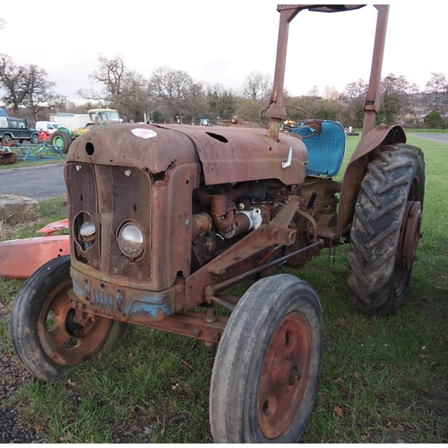 1366 - Fordson Super Major tractor c/w rear wheel weights and roll bar. Good restoration project