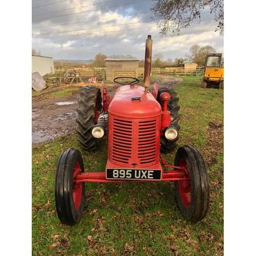 1487 - David Brown 25D tractor. Starts and runs. New rear tyres. Older restoration. Reg. 895 UXE. V5 to fol... 