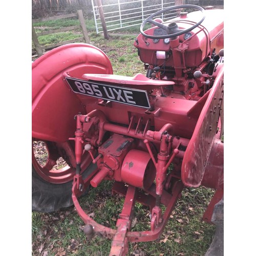 1487 - David Brown 25D tractor. Starts and runs. New rear tyres. Older restoration. Reg. 895 UXE. V5 to fol... 